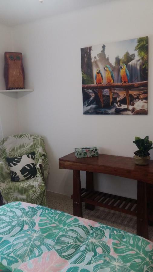 Appartement F3 Valescure Saint-Raphaël المظهر الخارجي الصورة